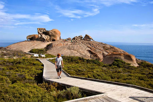 pulau-kangguru-australia