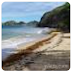 🌴 Plage de Ance devant - 971