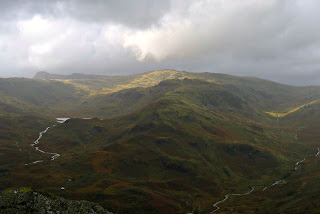 Lakeland landscape