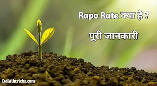 Rapo Rate क्या है ? रेपो रेट को बढ़ाने से महंगाई कम कैसे होती है ?