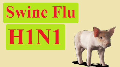 Home remedies for swine flu 