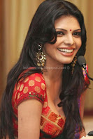 Sherlyn, chopra, hot, saree, navel, pictures