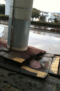 Pics from Tokyo Disneyland from Steve Davison. #prayforjapan ... on Twitpic