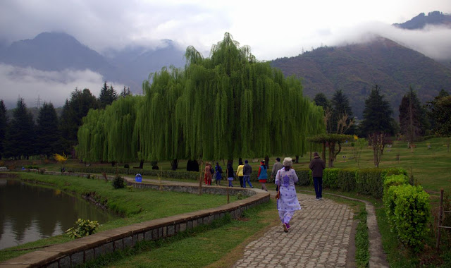 jawaharlal nehru botanical gardens srinagar kashmir india