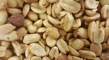 Special peanut allergy diet