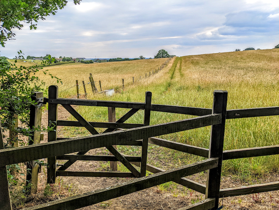 Go through the gate then head S with the fence on your left