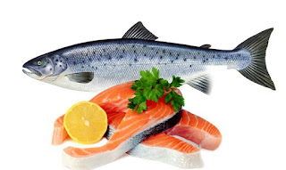 Manfaat ikan Salmon bagi kesehatan