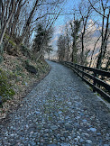 Naquane Park - path leading to entrance