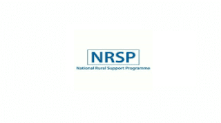 Latest National Rural Support Programme NRSP Management Posts Sanghar 2023