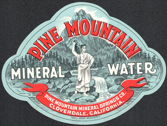 Rare Pine Mountain Mineral Water Bottle Label - Coverdale, CA