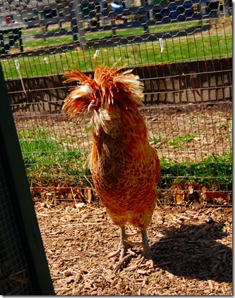 Easter 2009 103