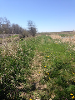 Nature preserve picture taken by a three-year-old
