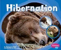 bookcover of HIBERNATION (Patterns in Nature series) by Margaret Hall