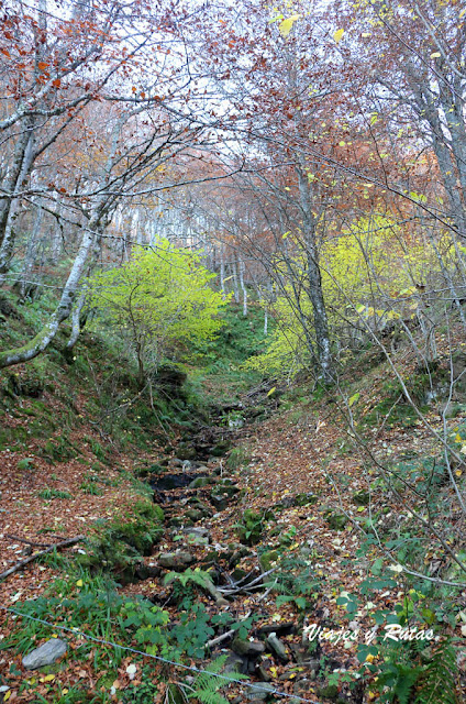 Ruta al Hayedo de Montegrande y la Cascada del Xiblu