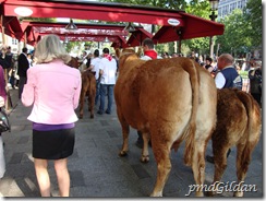Les Champs 6