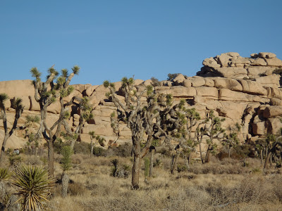 Joshua Tree National Park California Barker Dam