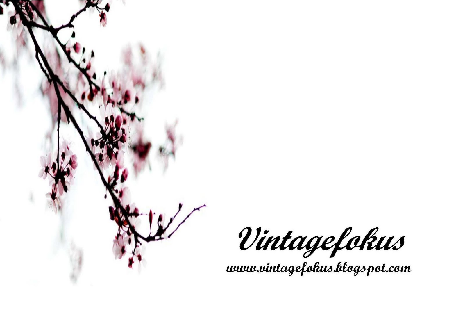 VintageFokus