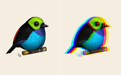 Fat Bird “Paradise Tanager” Timed Edition Prints by Mike Mitchell