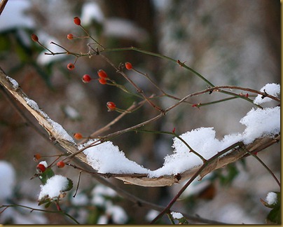 snow