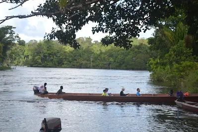 " Boat passing by under a tree in the tropical Amazon rainforest of Suriname"