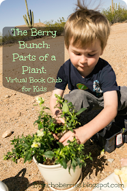 The Berry Bunch: The Turtle and the Monkey: Learning About Plants {Virtual Book Club for Kids}