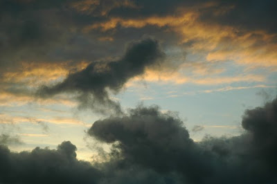 Clouds That Look Like