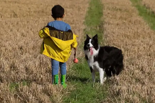 Sorprendente: los niños criados con un perro o un gato tienen menos probabilidades de sufrir alergias alimentarias