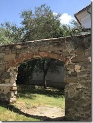 IMG_1379