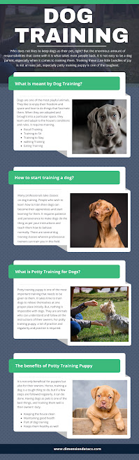 Dog Training