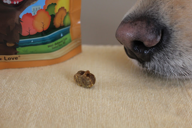 Healthy Dog Treats for the Holiday Season Zukes pumpkin and turkey training treats review and giveaway
