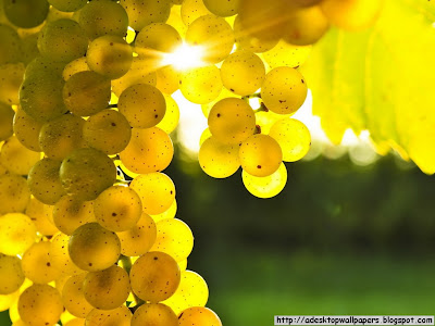 Grape Fruit Desktop Wallpapers, PC Wallpapers, Free Wallpaper, Beautiful Wallpapers, High Quality Wallpapers, Desktop Background, Funny Wallpapers http://adesktopwallpapers.blogspot.com