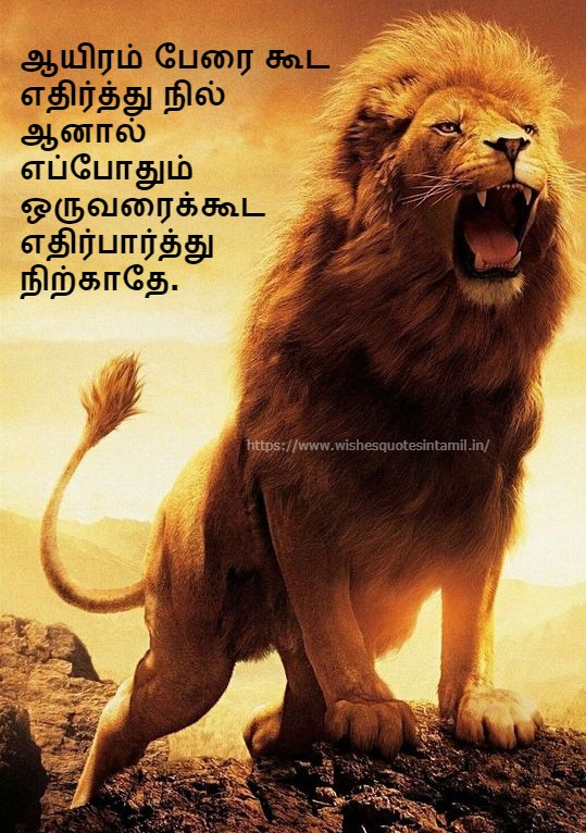Motivational Quotes In Tamil | Tamil Motivational Quotes | Motivational Quotes In Tamil For Students | Tamil Motivational Quotes For Success - Wishes Quotes In Tamil