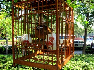 IMG_3441 IMG_3441