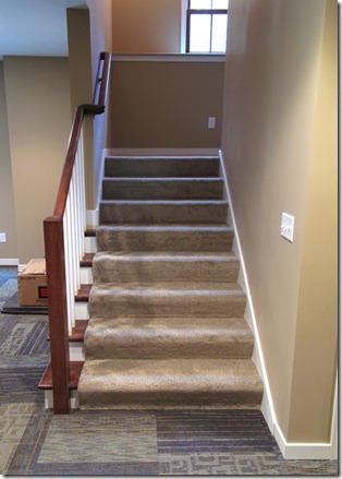 Carpet 37