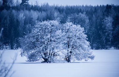 Vinter ö