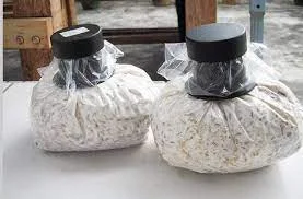 Mushroom Spawn Supplier in Vapi