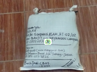 Benih Padi Pesanan  SOLEH Waykanan, Lampung.   (Setelah di Packing).