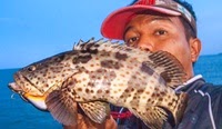 Grouper Fishing in Thailand