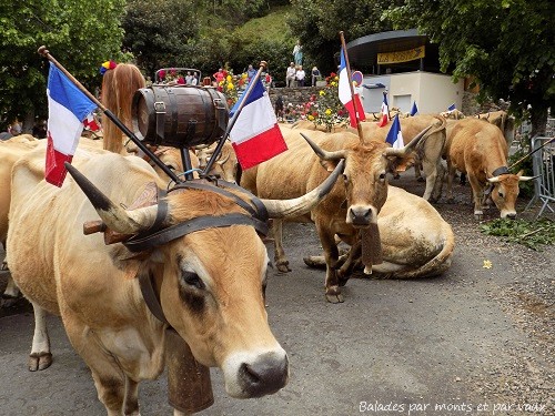 Transhumance mai 2018