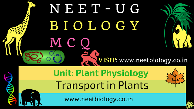 transport in plants mcq