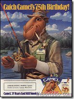 Catch Camel's 75th Birthday