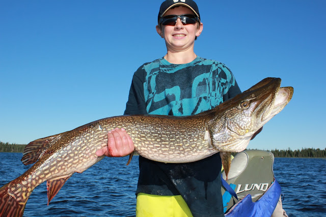 huge giant trophy pike walleye Red Lake Ontario Canada fishing report Nungesser Anglers Kingdom