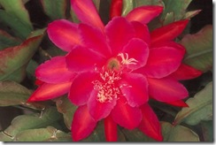 clip_image022