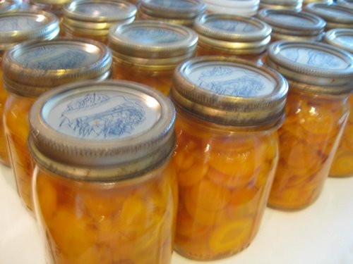 Canned venison recipes
