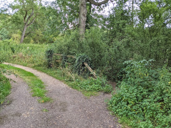 Knebworth footpath 19 heading SE off the track