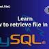 How to fetch files from database in PHP using MySQL database | E-codec