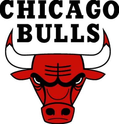 derrick rose logo. derrick rose bulls logo.