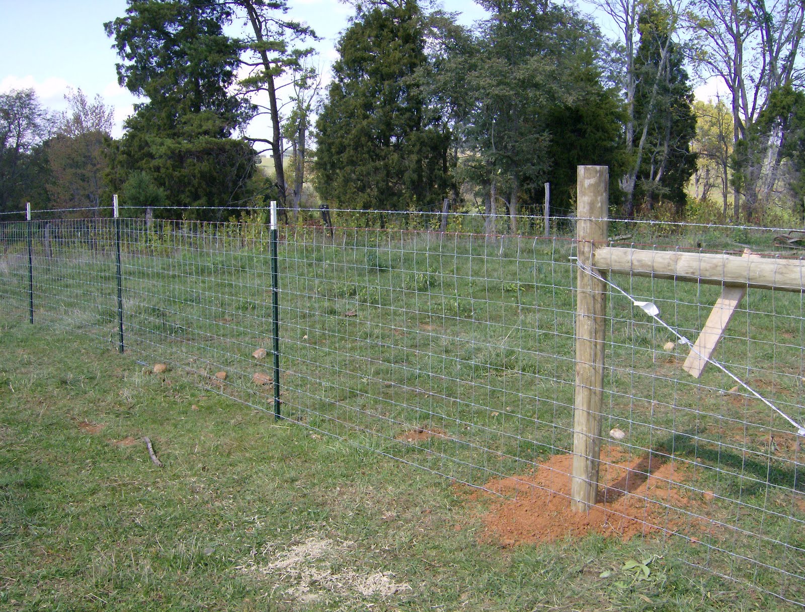 Wire Fence Post