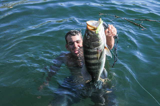 Guia Eribert em seu mergulho para desenroscar o peixe do cliente na estrutura.