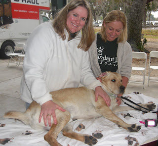 Picture of Toby with the nice people who gave him a massage. Toby is still laying on the table